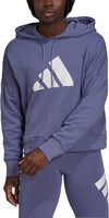 Sportswear Future Icons hoodie