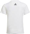 B G T2