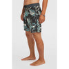 Hyperfreak Mysto Scallop 19 Bo Zwemshort
