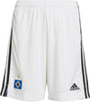 Hamburg SV uitshort 21/22