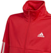 3-Stripes Team trainingspak