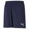 Teamrise Training Shorts Jr