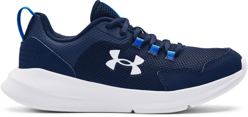 Ua Bgs Essential
