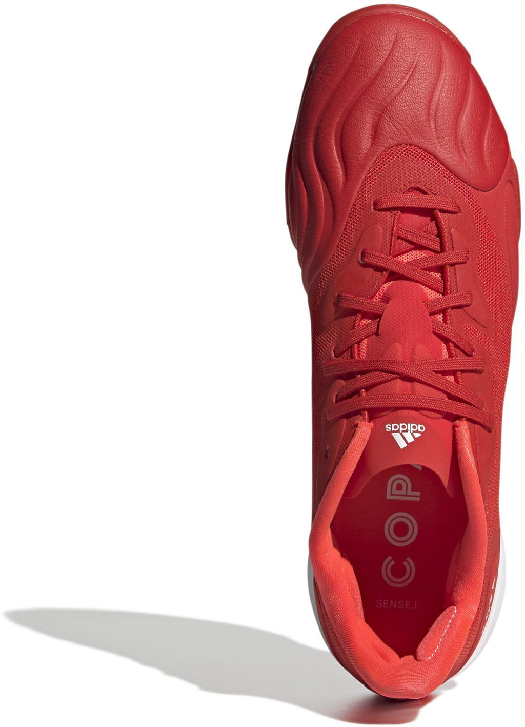 Copa Sense.1 In Sala
