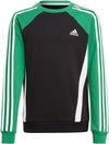 Colorblock Sweatshirt