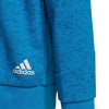 Future Icons 3-Stripes Hooded sweater