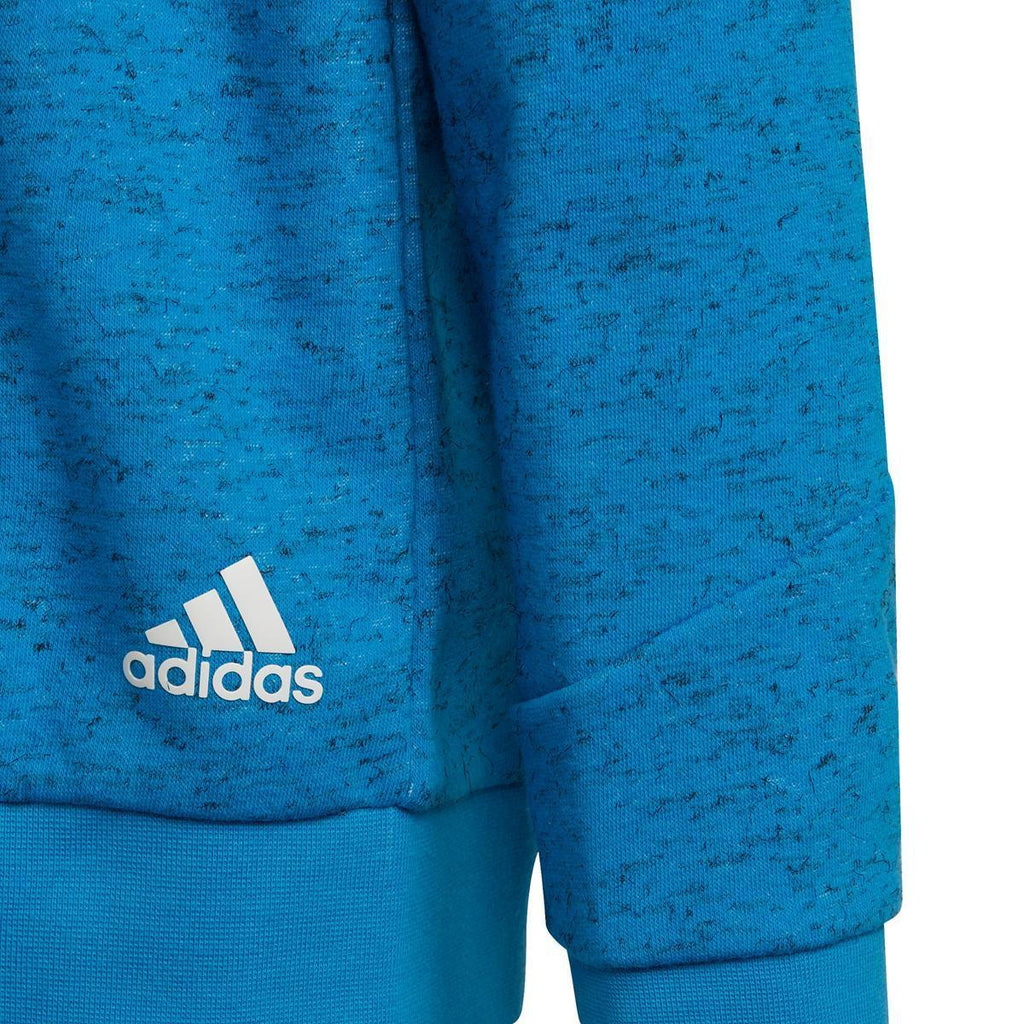 Future Icons 3-Stripes Hooded sweater