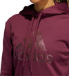 Game and Go Big Logo hoodie