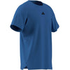 D4T Essentials T‑shirt training