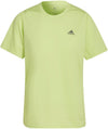 Ri 3b Tee