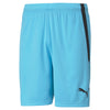 TeamLIGA Shorts Short