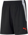 Teamliga Training Shorts Jr