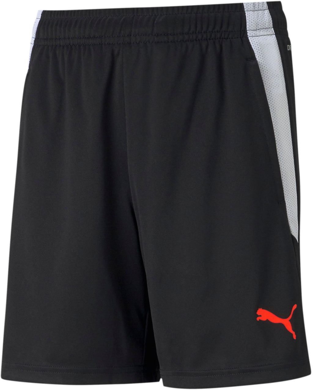 Teamliga Training Shorts Jr