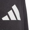 Future Icons 3-Stripes Hooded sweater