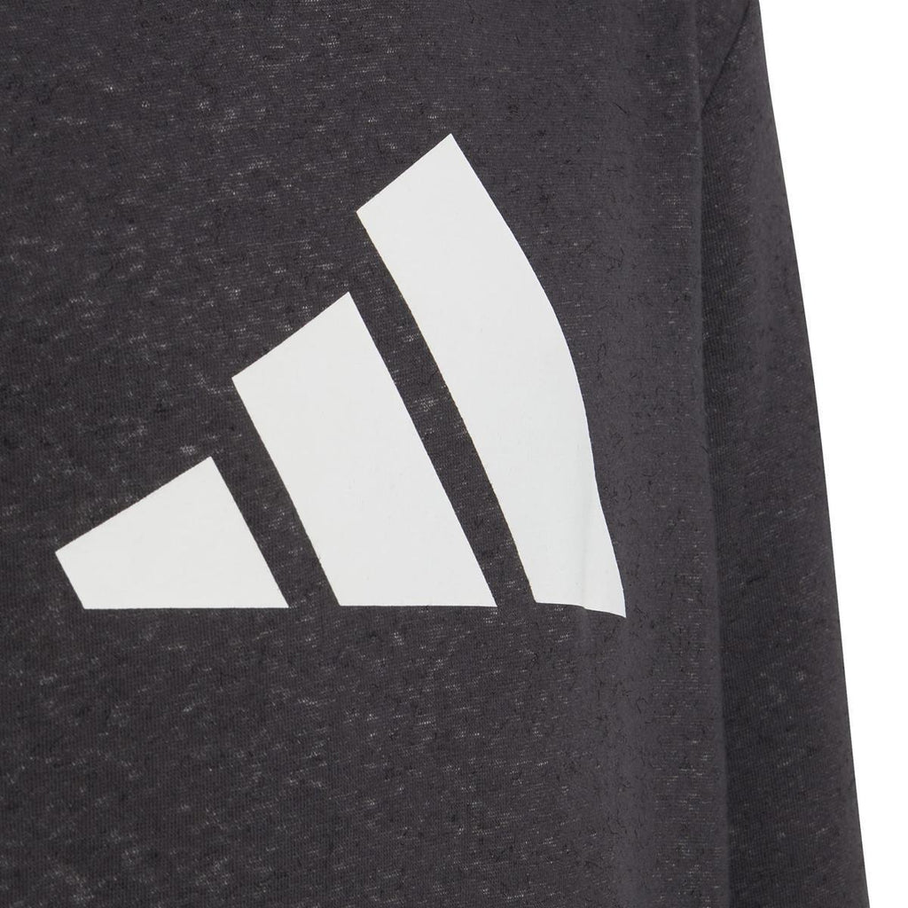 Future Icons 3-Stripes Hooded sweater