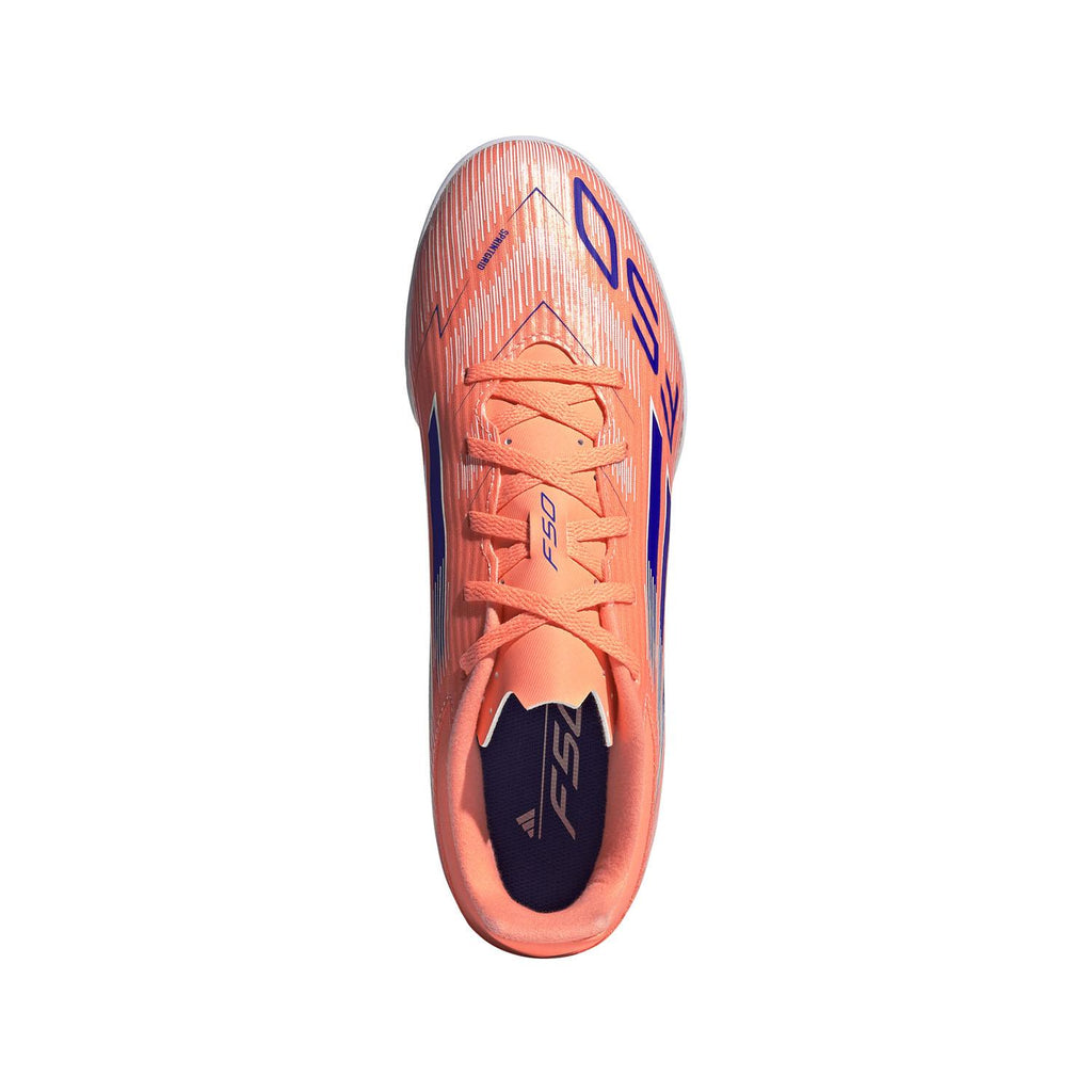F50 Club Indoor schoenen