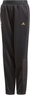 yb m knit pant