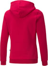 Ess+ Logo Hoodie