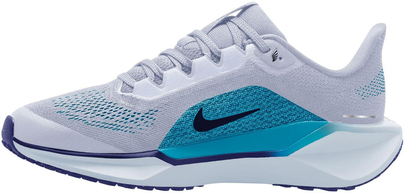 Air Zoom Pegasus 40 fitness schoenen