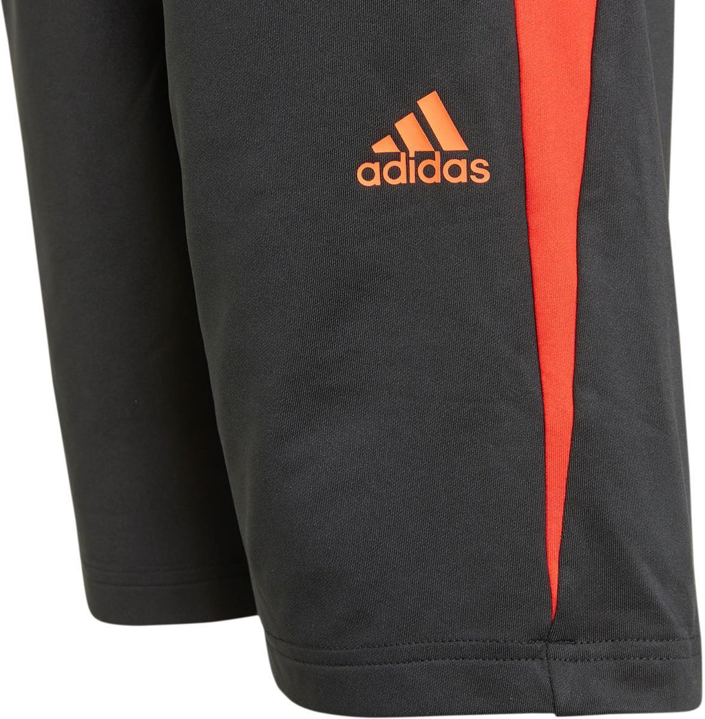 B Ar X Short
