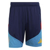 Spanje Training Shorts
