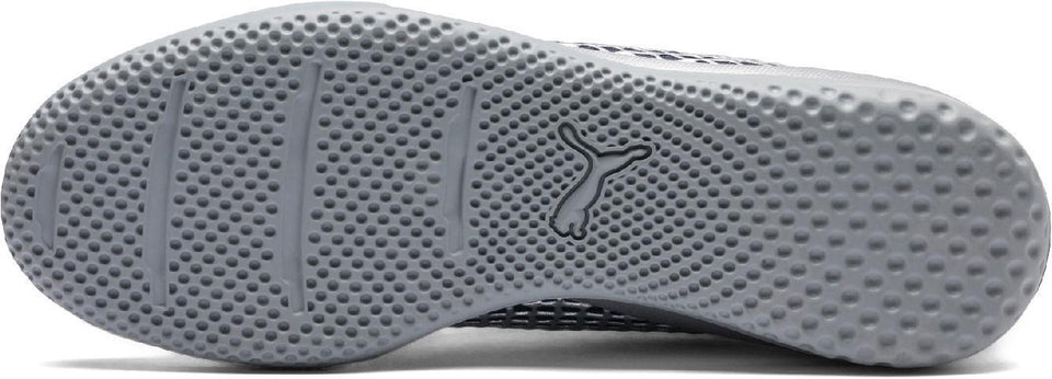 PUMA Future 2.4 IT
