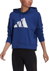 Sportswear Future Icons hoodie