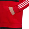 Essentials Logo Colorblock Hoodie