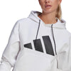W ST HOODIE