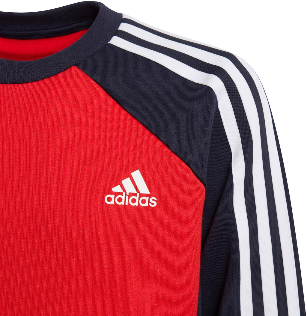 Colorblock Sweatshirt