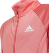 3-Stripes Team Primegreen Trainingspak