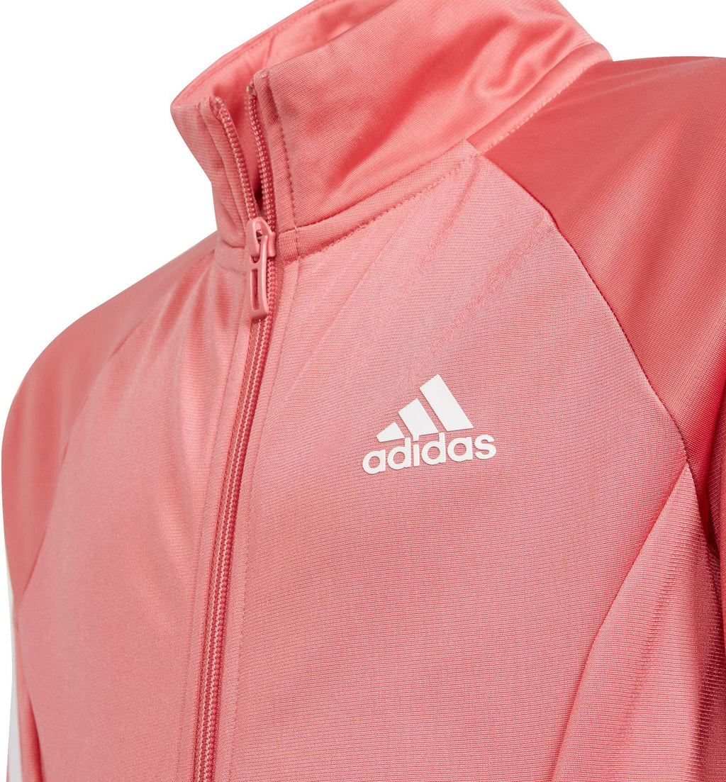 3-Stripes Team Primegreen Trainingspak