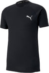 evostripe tee