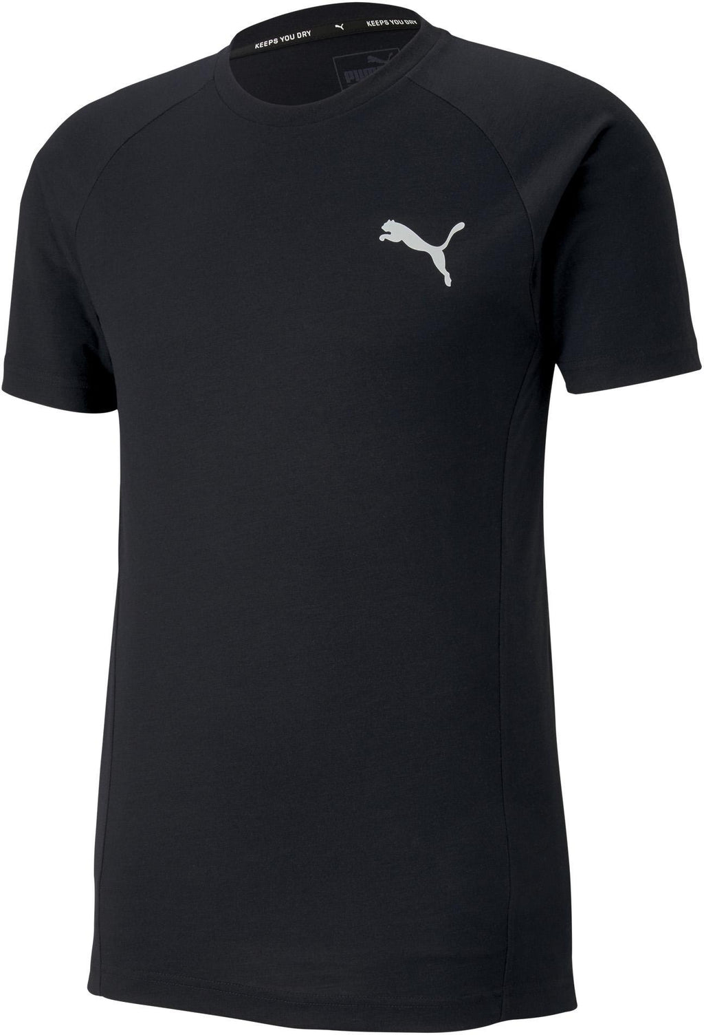 evostripe tee