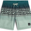 Logo Stripe Zwemshort kids