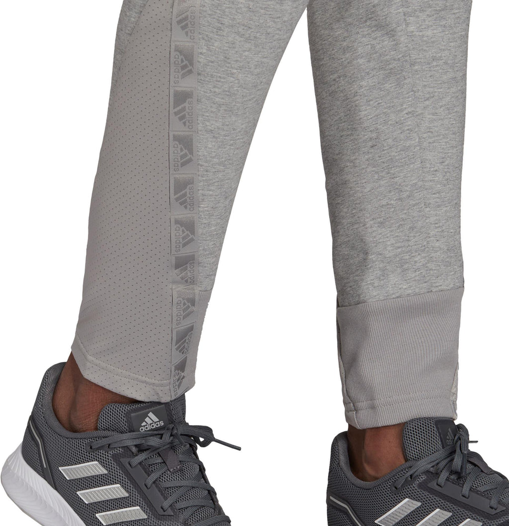 T PT. Pant