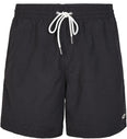 pm vert shorts