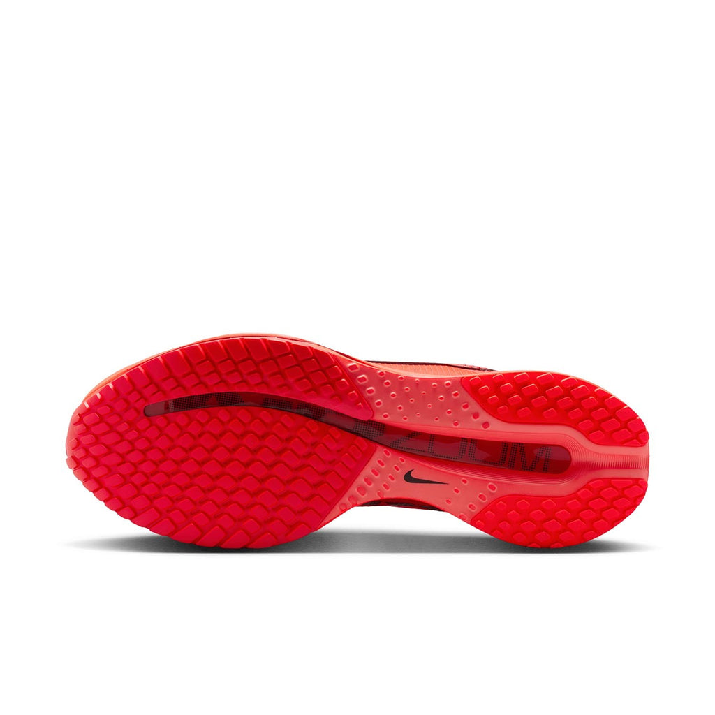 Pegasus Premium Men's Road Run hardlopenschoen nt