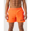 6 inch shorts
