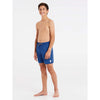 Culture Beachshort