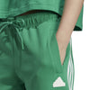 FI 3-Stripes Regular broek