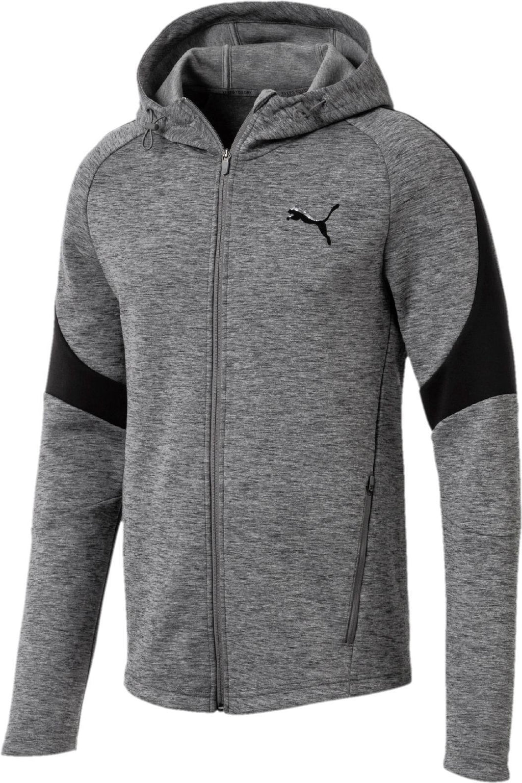 evostripe fz hoody