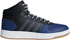 Hoops 2.0 Mid sneakers