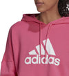 W FI BOS HOODIE