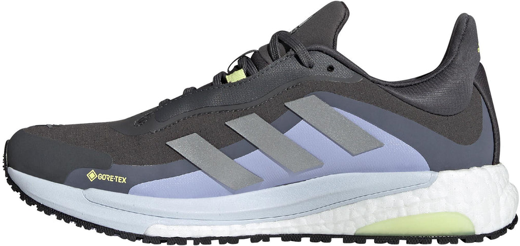 SolarGlide 4 GORE-TEX Schoenen