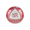 Sfv Culture  Mini bal