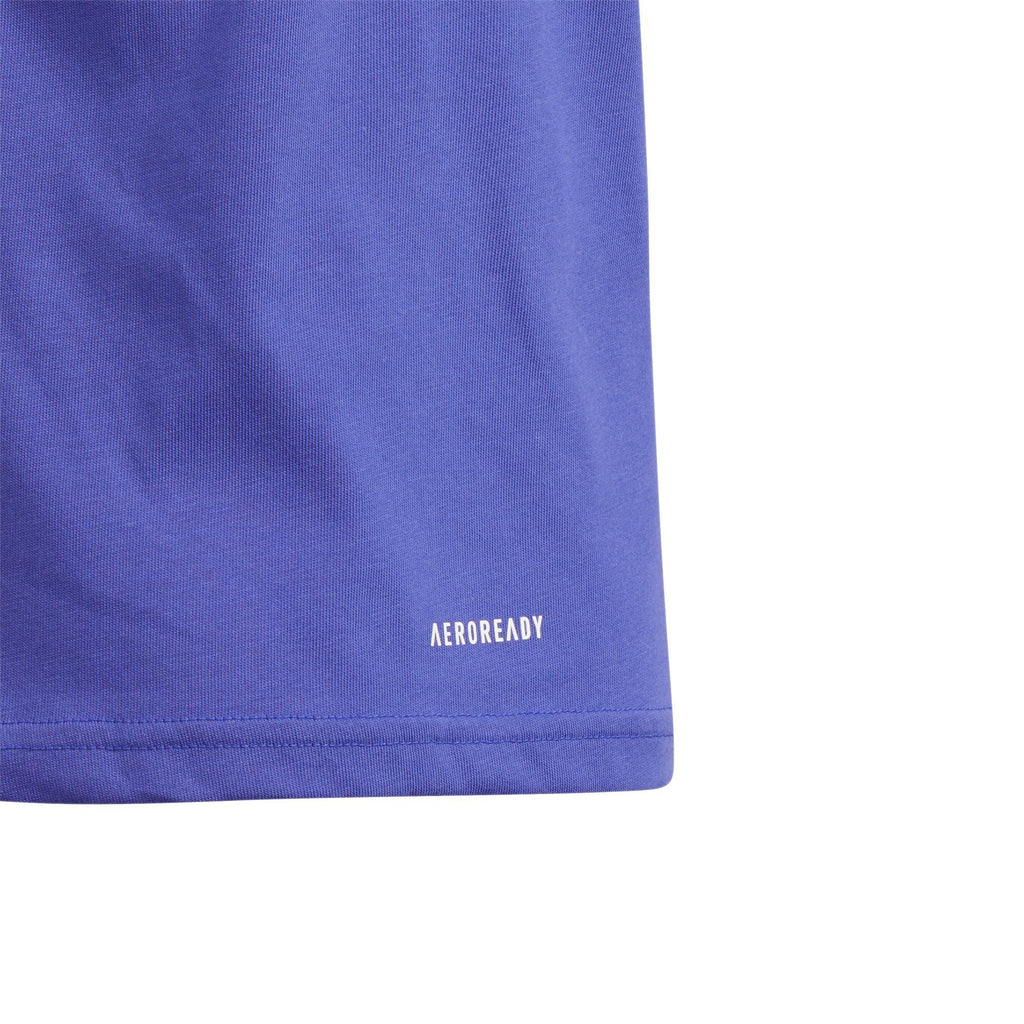 Lg St Bos Tee
