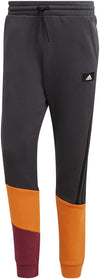 FI CB Pant. Trainingshose