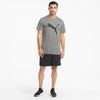 Train Fav Heather Cat Ss Tee