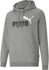 Ess+ 2 Col Big Logo Hoodie